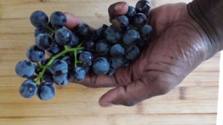 Concord grapes from FieldGoods.com