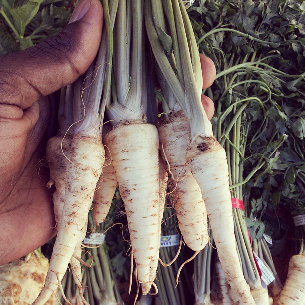 fresh parsnips-from the farmers market to your plate!