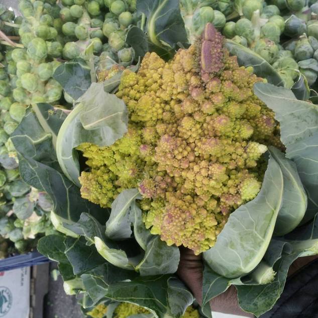 fresh romanesca -from the farmers market to your plate!